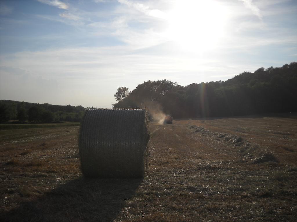 ברה Agriturismo Cascina Monchiero מראה חיצוני תמונה